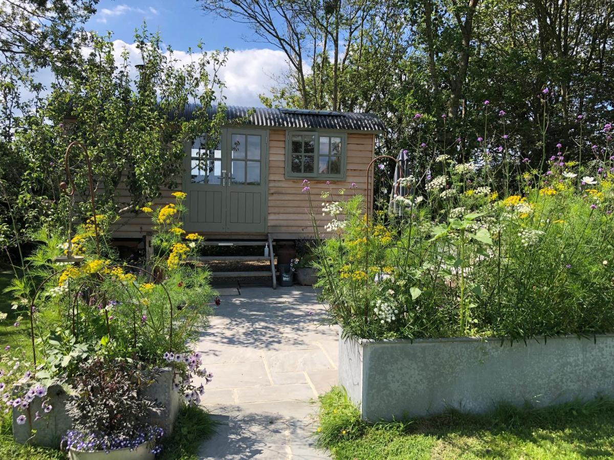 Вилла Little Plovers Shepherd Hut Чичестер Экстерьер фото